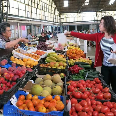 Lejlighed Serena 2 Nazaré